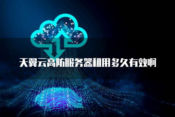 天翼云高防服务器租用多久有效啊