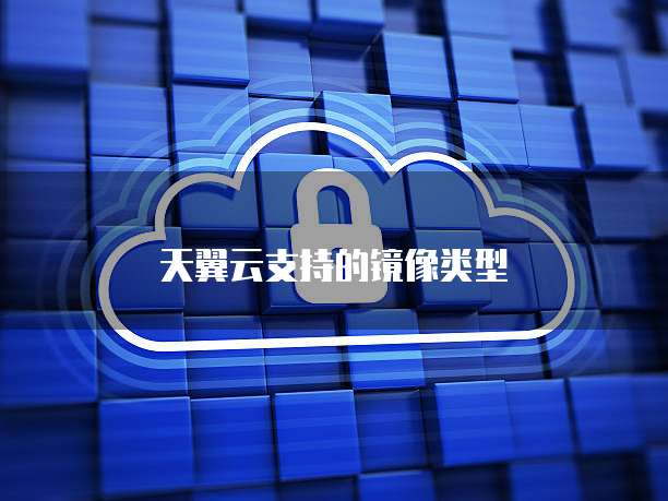 天翼云支持的镜像类型