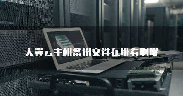 天翼云主机备份文件在哪看啊呢