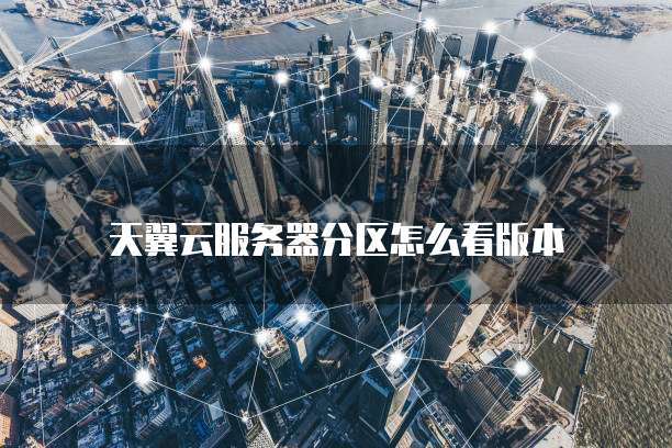 天翼云服务器分区怎么看版本