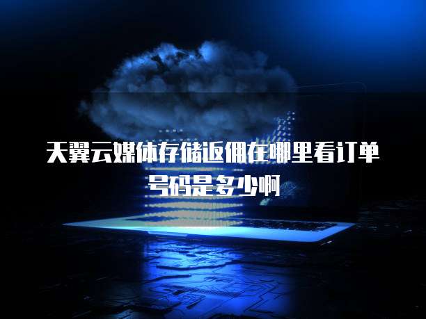 天翼云媒体存储返佣在哪里看订单号码是多少啊