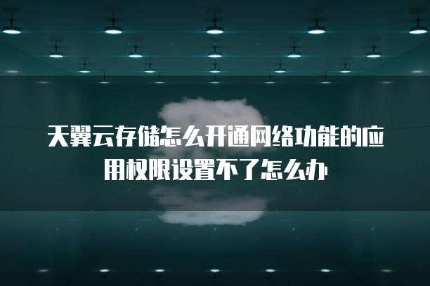 天翼云存储怎么开通网络功能的应用权限设置不了怎么办
