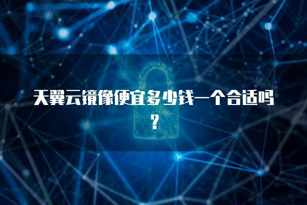 天翼云镜像便宜多少钱一个合适吗?