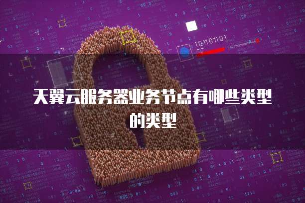 天翼云服务器业务节点有哪些类型的类型
