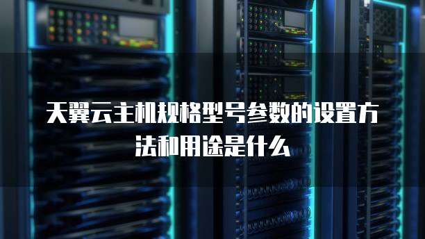 天翼云主机规格型号参数的设置方法和用途是什么