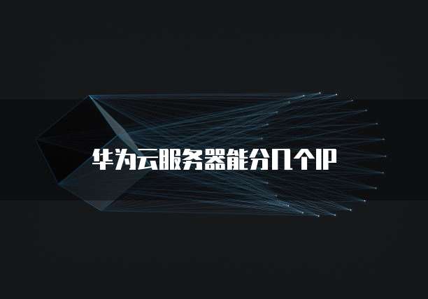 天翼云怎么开服务器的ip