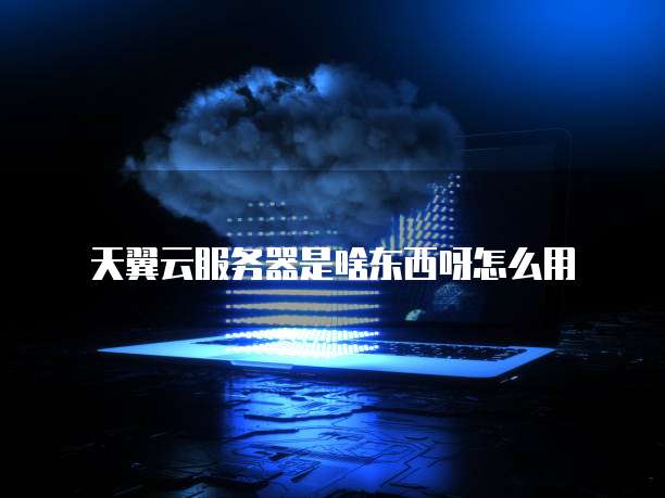 天翼云服务器是啥东西呀怎么用
