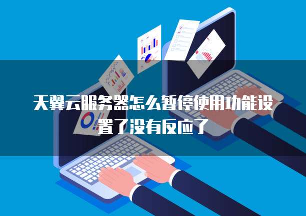 天翼云服务器怎么暂停使用功能设置了没有反应了