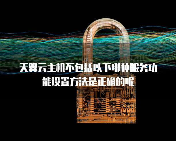 天翼云主机不包括以下哪种服务功能设置方法是正确的呢