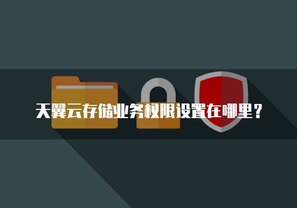 天翼云存储业务权限设置在哪里?