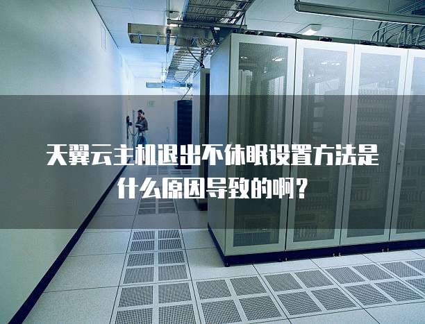 天翼云主机退出不休眠设置方法是什么原因导致的啊?