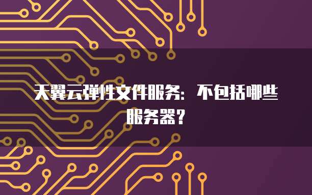 天翼云弹性文件服务:不包括哪些服务器?