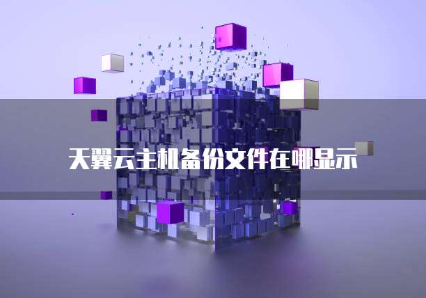 天翼云主机备份文件在哪显示