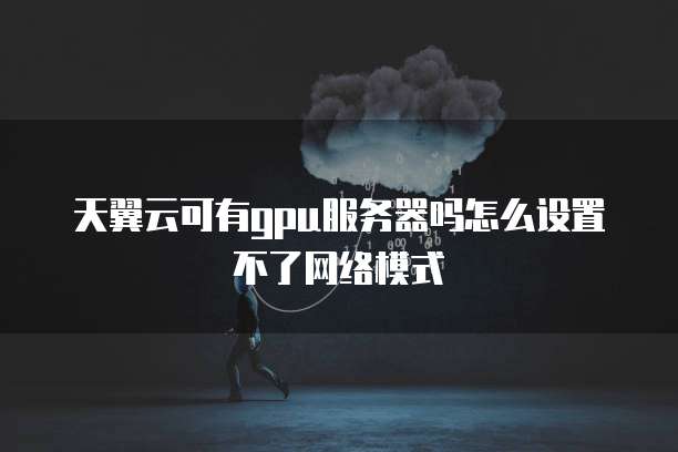 天翼云可有gpu服务器吗怎么设置不了网络模式
