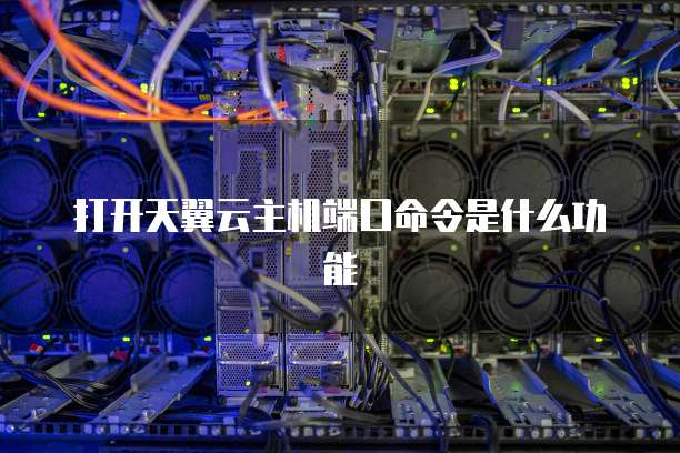 打开天翼云主机端口命令是什么功能