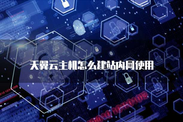 天翼云主机怎么建站内网使用