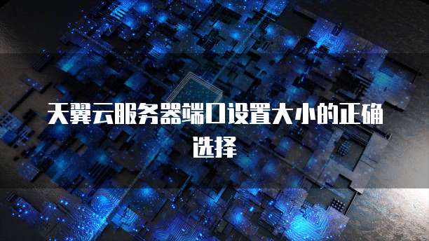 天翼云服务器端口设置大小的正确选择