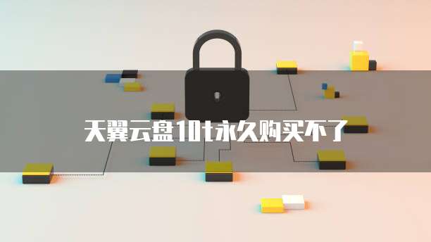 天翼云盘10t永久购买不了