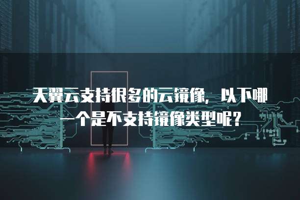 天翼云支持很多的云镜像,以下哪一个是不支持镜像类型呢?