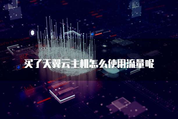 买了天翼云主机怎么使用流量呢