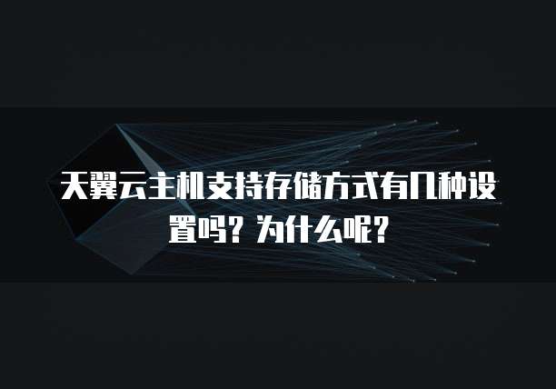 天翼云主机支持存储方式有几种设置吗?为什么呢?