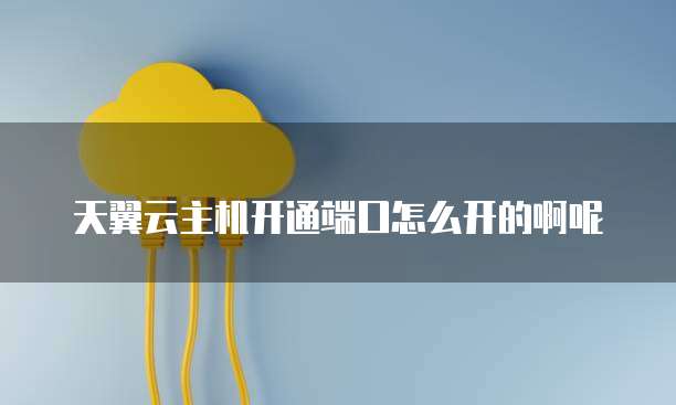 天翼云主机开通端口怎么开的啊呢