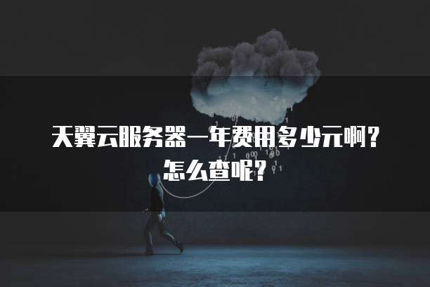 天翼云服务器一年费用多少元啊?怎么查呢?