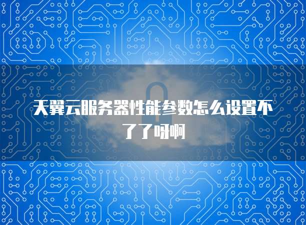 天翼云服务器性能参数怎么设置不了了呀啊