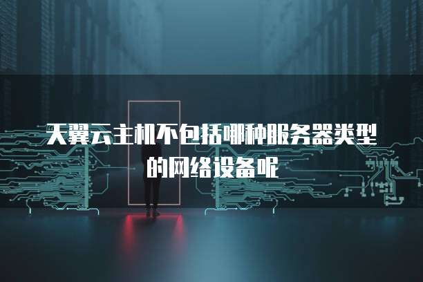 天翼云主机不包括哪种服务器类型的网络设备呢
