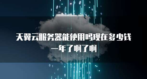 天翼云服务器能使用吗现在多少钱一年了啊了啊