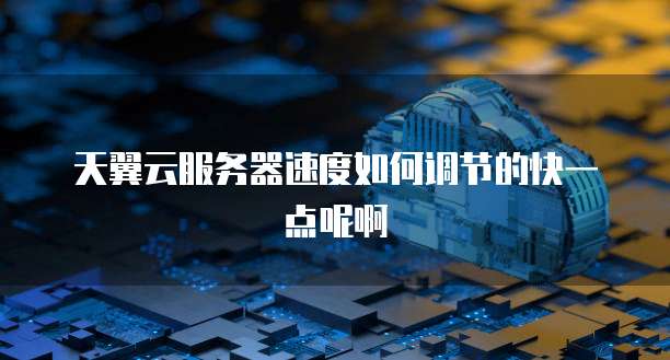天翼云服务器速度如何调节的快一点呢啊