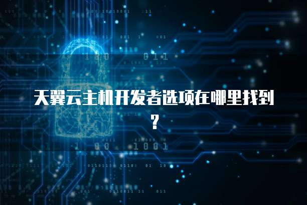 天翼云主机开发者选项在哪里找到？