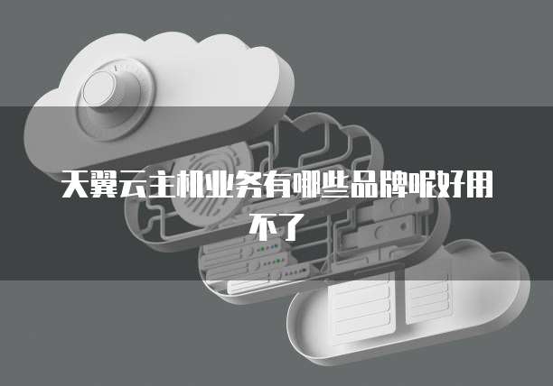 天翼云主机业务有哪些品牌呢好用不了