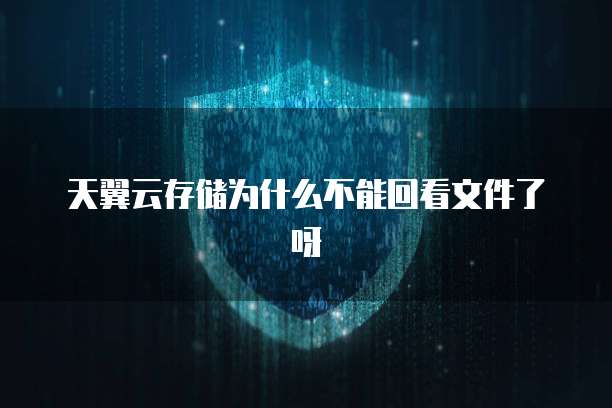 天翼云存储为什么不能回看文件了呀