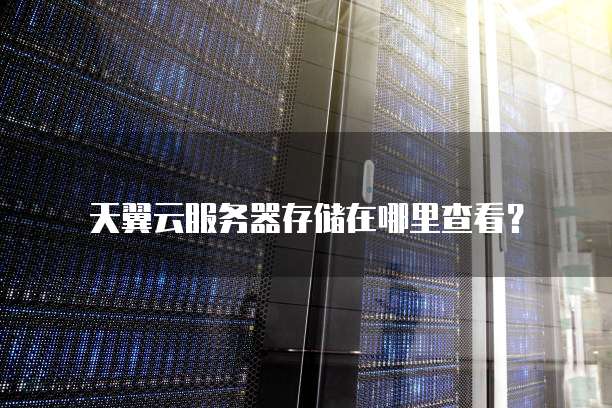 天翼云服务器存储在哪里查看?
