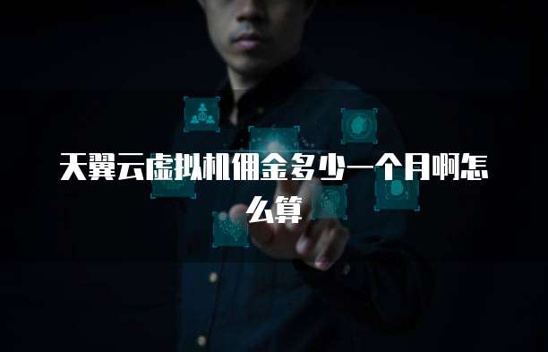 天翼云虚拟机佣金多少一个月啊怎么算