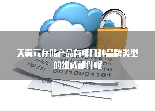 天翼云存储产品有哪几种品牌类型的组成部件呢
