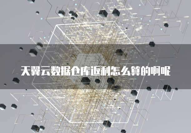天翼云数据仓库返利怎么算的啊呢