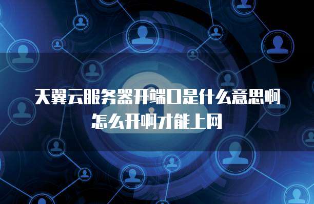 天翼云服务器开端口是什么意思啊怎么开啊才能上网