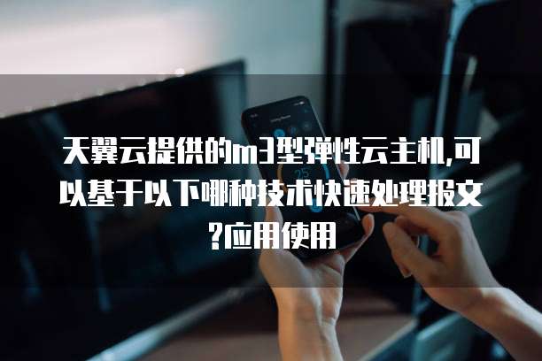 天翼云提供的m3型弹性云主机,可以基于以下哪种技术快速处理报文?应用使用