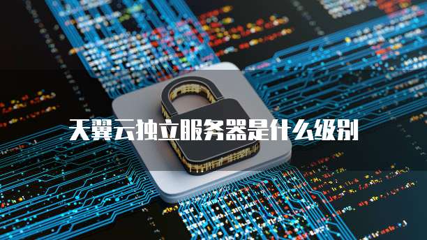 天翼云独立服务器是什么级别