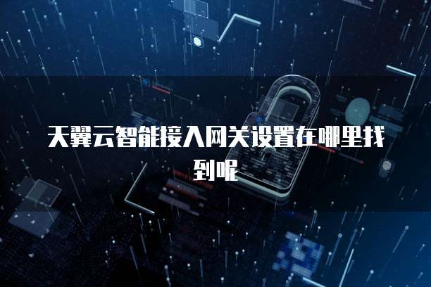 天翼云智能接入网关设置在哪里找到呢