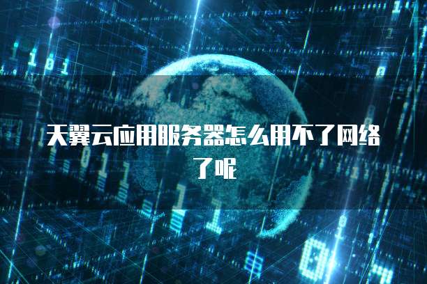 天翼云应用服务器怎么用不了网络了呢