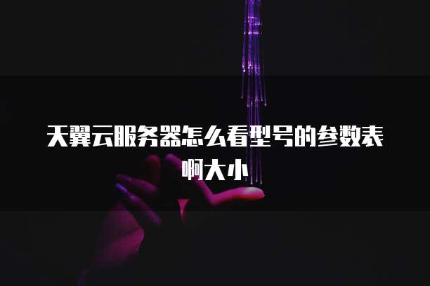 天翼云服务器怎么看型号的参数表啊大小