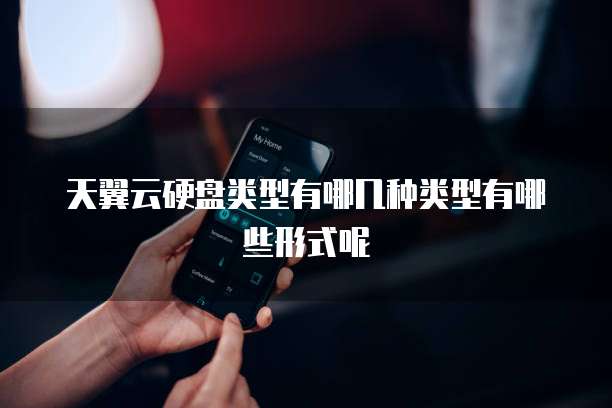 天翼云硬盘类型有哪几种类型有哪些形式呢