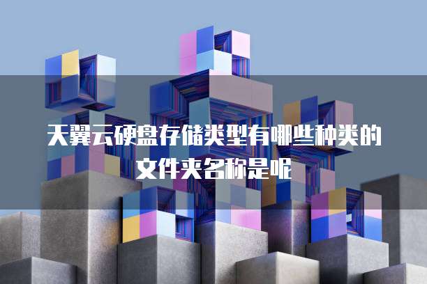 天翼云硬盘存储类型有哪些种类的文件夹名称是呢
