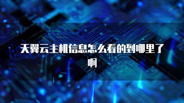 天翼云主机信息怎么看的到哪里了啊