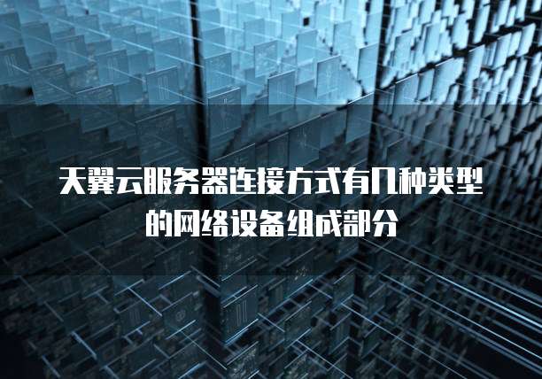 天翼云服务器连接方式有几种类型的网络设备组成部分