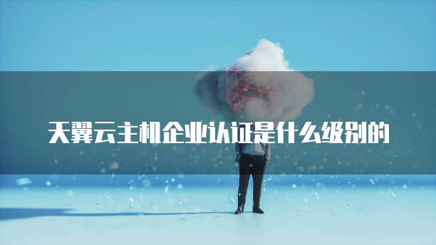 天翼云主机企业认证是什么级别的
