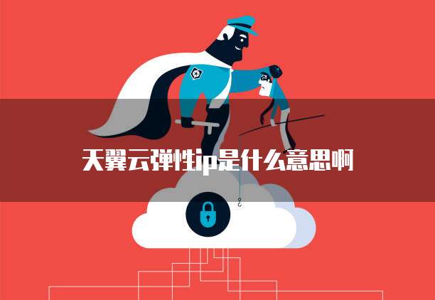 天翼云弹性ip是什么意思啊